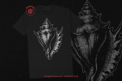 10 Bundle Dark Art Sea Shell Ocean Mollusk Clam Pearl Beach Product Image 2