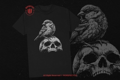 10 Bundle Dark Art Sparrow Bird Animal Wild Nature Wings Product Image 2