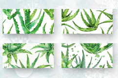 Aloe Vera Watercolor Mug Wrap Sublimation Designs Product Image 2