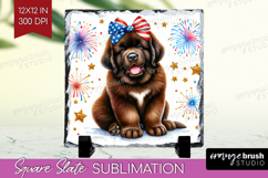 Newfoundland Dog Slate PNG Patriotic Dog Square Slate Product Image 1