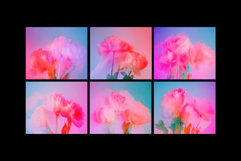 Abstract Faded Flowers Textures Product Image 2