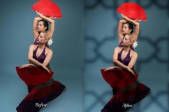 50 Ornamental Gobo Snoot Overlays Product Image 2