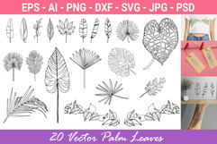 Palm Leaves svg, Botanical png Product Image 1