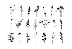 Botanical bundle - svg, png Product Image 5