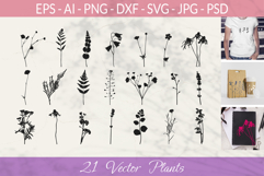 Botanical bundle - svg, png Product Image 1