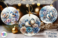 Christmas Ornaments Sublimation, Winter Bird Christmas PNG Product Image 1