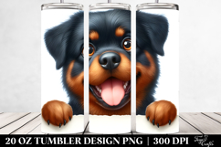 20 Oz Tumbler Png Product Image 2