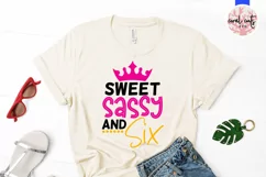 Sweet sassy and six - Birthday SVG EPS DXF Product Image 2