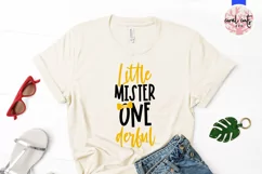 Little mister onederful - Birthday SVG EPS DXF Product Image 2