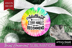 Sarcastic Quote Ornament PNG - Brush Stroke PNG Sublimation Product Image 1