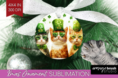 St. Patricks Day Ornament PNG - Cute Animals PNG Sublimation Product Image 1