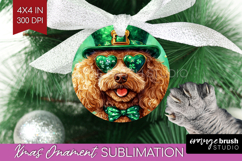 St. Patricks Day Ornament PNG - Cute Animals PNG Sublimation Product Image 1
