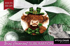 St. Patricks Day Ornament PNG - Cute Animals PNG Sublimation Product Image 1