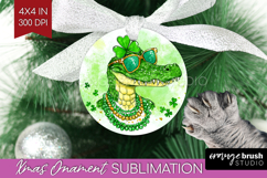 St. Patricks Day Ornament PNG - Cute Animals PNG Sublimation Product Image 1