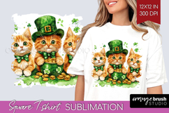 St. Patricks Day Square Tshirt Background - Cute Animals PNG Product Image 1