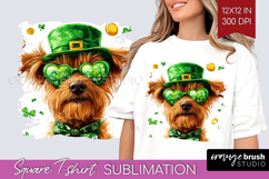 St. Patricks Day Square Tshirt Background - Cute Animals PNG Product Image 1