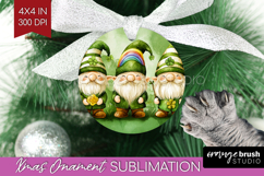 St. Patricks Day Ornament PNG - Cute Animals PNG Sublimation Product Image 1