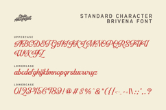 Brivena Product Image 2