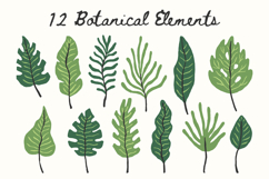 Hand Drawn Tropical Leaves PNG Clipart Product Image 2