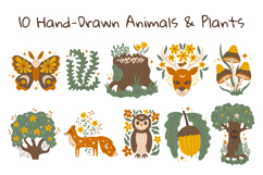 Mystic Woodland Elements PNG Clipart Product Image 2