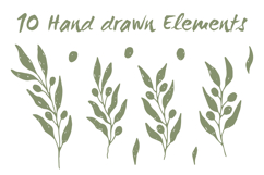 Hand Drawn Olive Branches PNG Clipart Product Image 2