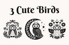 Mystical Owls Product Image 2