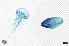 Watercolor Sea Life PNG Clipart Product Image 1