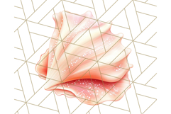Natural Seashell Clipart PNG, Summer Nautical Beach Shell Product Image 4