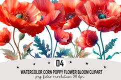 Watercolor Corn Poppy Flower Bloom Clipart Watercolor PNG Product Image 1