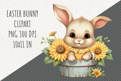 Easter Bunny Clipart | Spring Clipart | Easter Sublimation Product Image 1