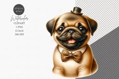 Pug clipart, Vintage clipart, Dog sublimation Product Image 1
