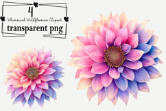 Whimsical Wildflowers Clipart Watercolor PNG Product Image 1