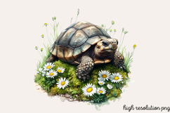 Spring Turtles Garden Clipart PNG Product Image 1