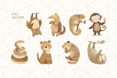 Jungle Animals Clipart PNG Product Image 3