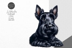 Scottish Terrier clipart, Dog clipart, Animals clipart Product Image 1