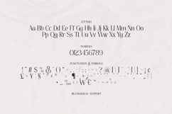 Thereon - Modern Romantic Serif Font Product Image 20
