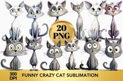 Sarcastic Funny Grumpy Cat, Grey Cat sublimation Bundle Product Image 1