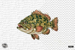 Dreamy Coral Reef Clipart - Summer Clipart Product Image 1