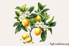 Soft Spring Clipart Bundle PNG Product Image 10