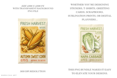 Autumn Vegetable Seeds Packet Clipart Product Image 2