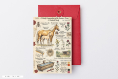 Summer Horses Farm Junk Journal Pages Product Image 5