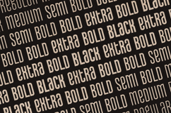 Proforma Display &amp; Script Font Duo Product Image 20