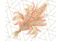 Fall Foliage Clipart PNG, Pink and Green Leaves Product Image 4