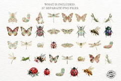 Spring Insects Garden Clipart Product Image 3