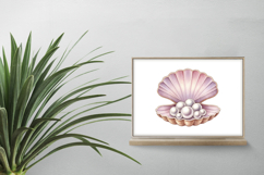 Scallop Shell Pearl Jewel Seashell Treasure PNG Summer Product Image 2