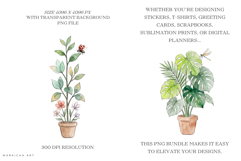 Summer Housplants Clipart Product Image 2
