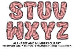 Romantic Coquette Alphabet PNG Letters &amp; Numbers 300DPI Product Image 4