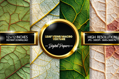 leaf veins macro texture Digital Papers - 04 variations Product Image 1