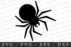 Spider Svg | Halloween Svg | Svg Cut Files Product Image 1