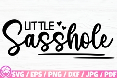 Sassy / Sarcastic Quotes x30 BUNDLE Svg/Eps/Png/Dxf/Jpg/Pdf Product Image 13